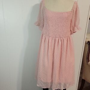 Pink Swiss Dot Smocked Bodice Dress
